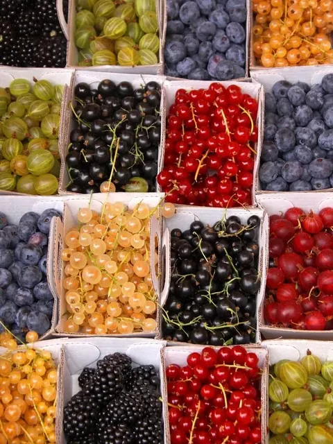 Fruit Markets pack cover