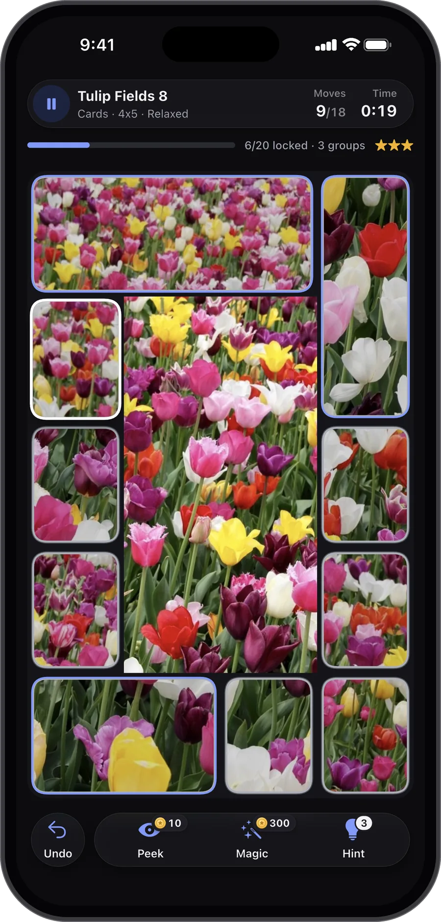 A puzzle of tulip fields in Carden, about a third of its cards in place and a few groups joined