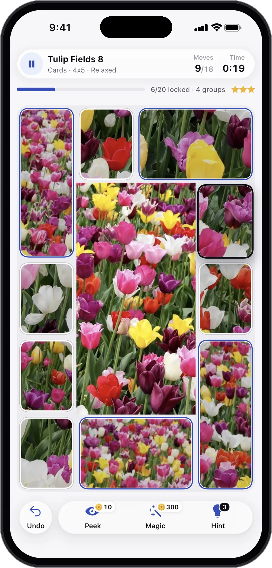 A puzzle of tulip fields in Carden, about a third of its cards in place and a few groups joined